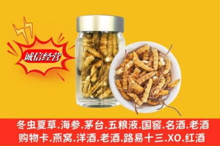 芜湖镜湖区回收散虫草