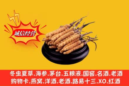 芜湖镜湖区求购回收虫草多少钱每克